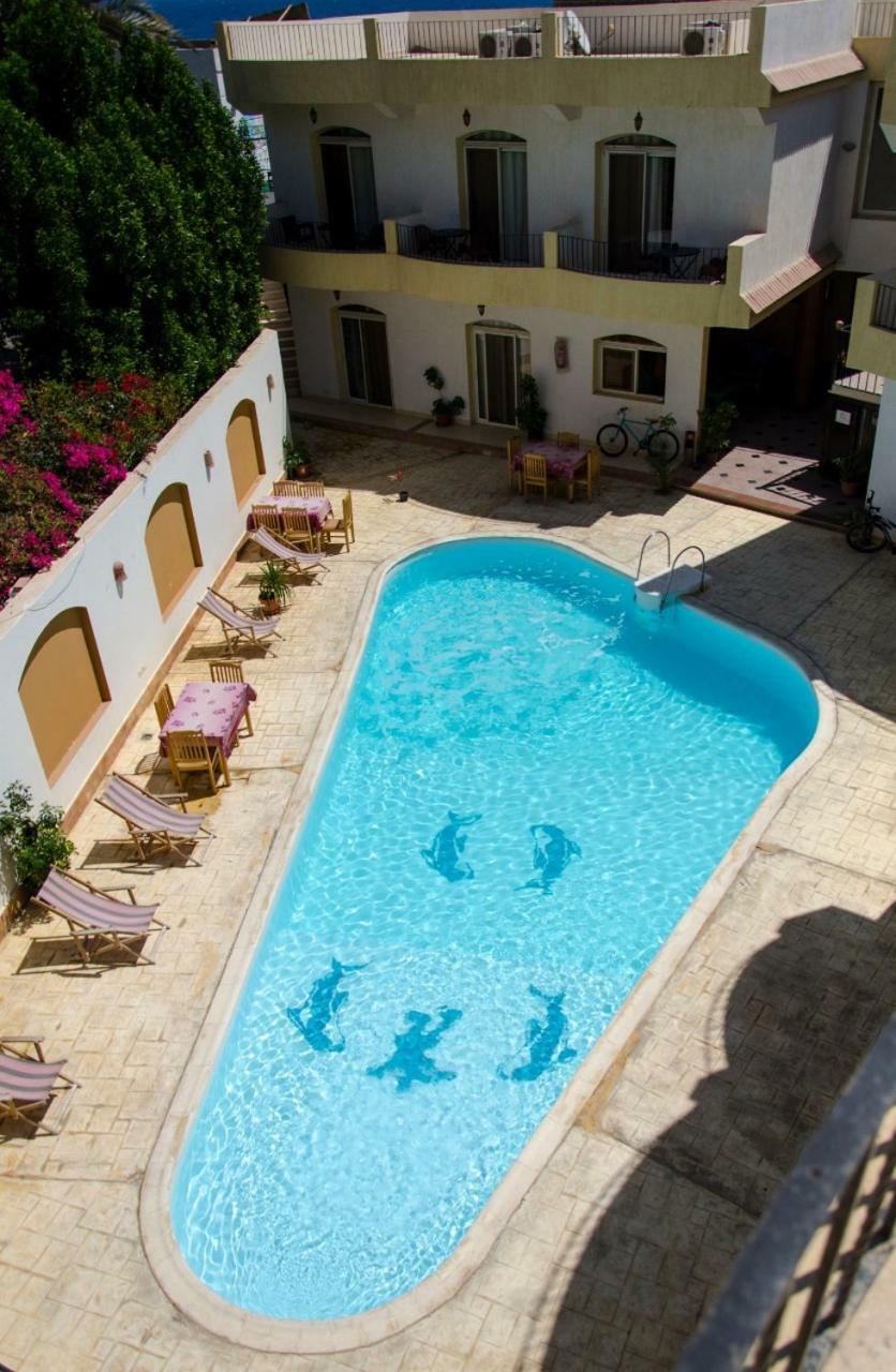 New Yalla Hotel Dahab Eksteriør bilde